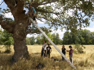 Beca Insua Camp 2015