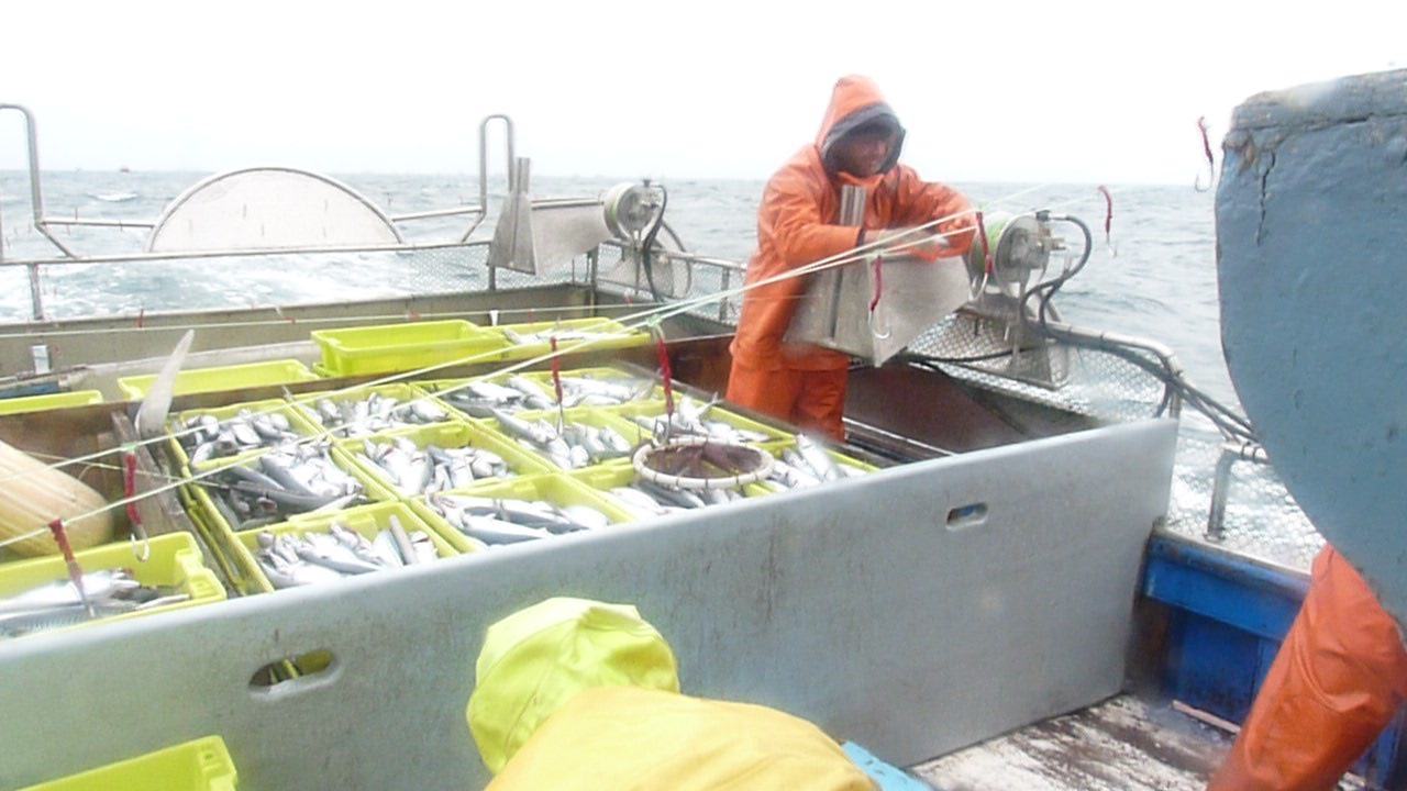 5 Comienza el regreso con la pesca del día